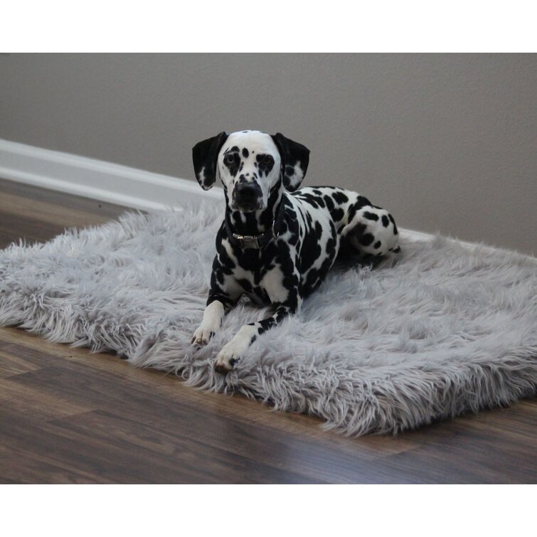 Dog bed that shop looks like a rug